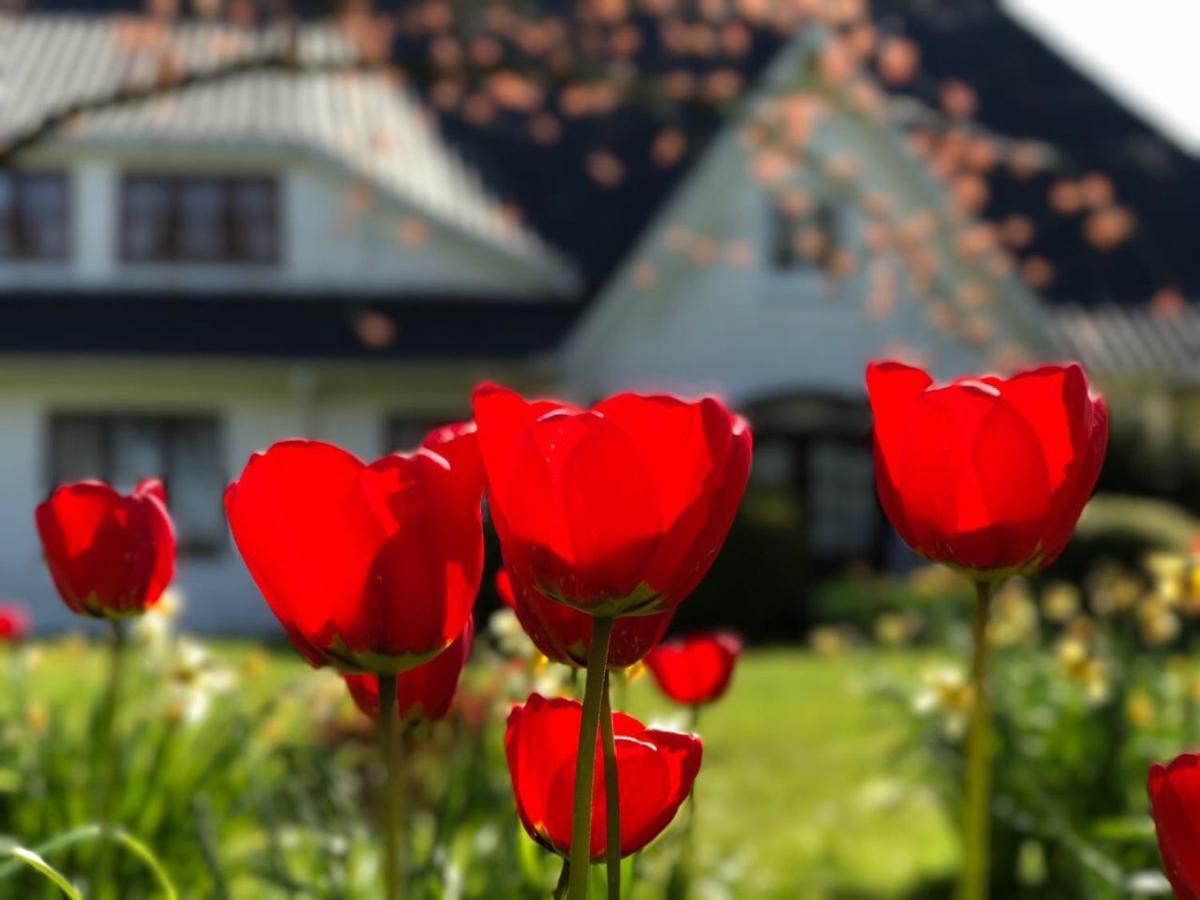 Landhaus Haack Tumlauer Koog 외부 사진
